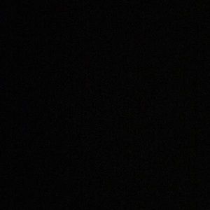 Meet your Posher, Audrey